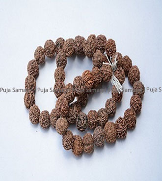 ps-Rudrakshya Mala 54beads (रुद्राक्ष माला) 54 Bead
