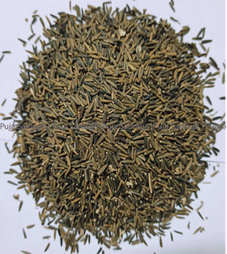 [jb-jee-kal-1kg] jb-Kalo Tito Jeera (कालो जीरा) 1kg