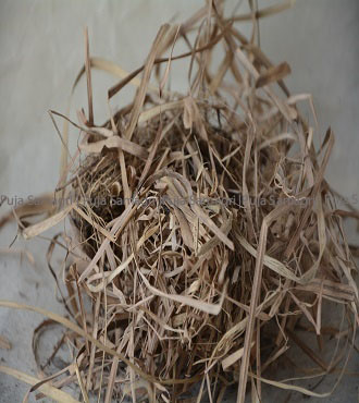 [jb-usi-0-50g] jb-Usir (उसिर) 50g