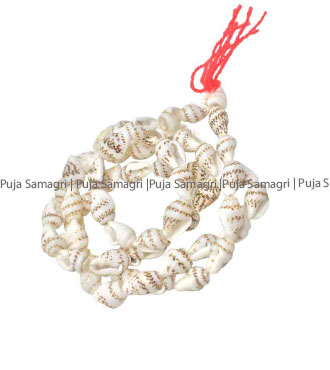 [ps-mal-sank-15inch] ps-Sankha Mala (Length:-approx.15inch)